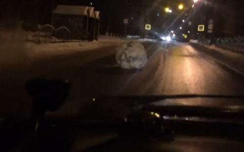 В Сыктывкаре прямо на проезжей части перед водителями возник огромный валун (видео)