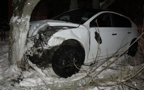 В Коми «Шевроле» врезалась в дерево, пострадало три человека (фото)
