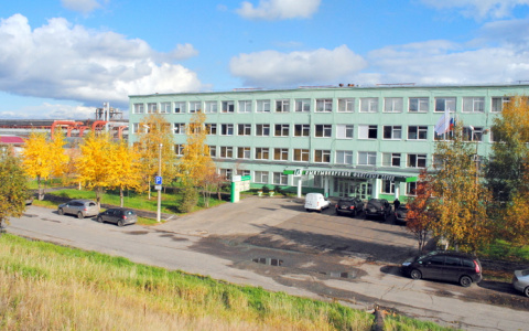 В Сыктывкаре за изувеченное лицо рабочего начальник заплатит 2 500 рублей