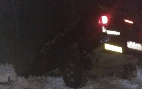 В Коми водитель переломал себе рёбра после столкновения с грузовиком (фото)