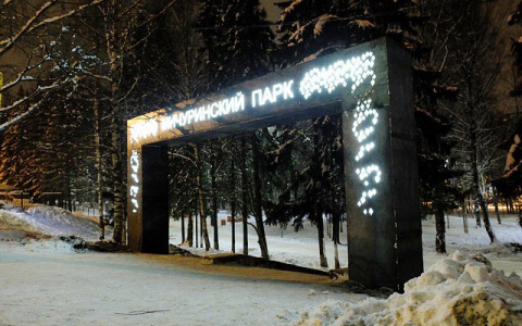 В Мичуринском парке Сыктывкара поставили арт-объекты для того, чтобы они ржавели