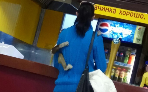 В торговом центре Сыктывкара женщина ходила с живой обезьяной на руках (фото)