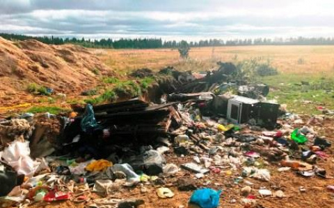 В Коми рядом с местом фестиваля рыбного пирога «Черинянь Гаж» сваливали отходы