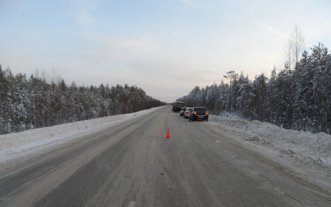 На трассе в Коми «Хонда» влетела в мусоровоз