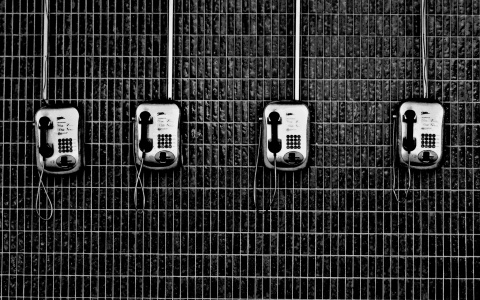 «Вам перезвонят»: чем закончились обращения жителей Коми на горячую линию Сергея Гапликова