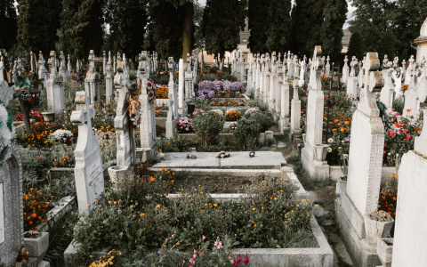 На кладбище в Коми потратят миллион рублей