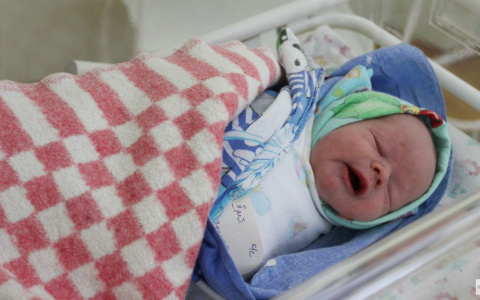 Названы самые популярные и редкие имена, которыми сыктывкарцы называют детей