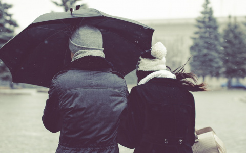 Погода в Сыктывкаре 5 декабря: снег плавно сменяет дождь