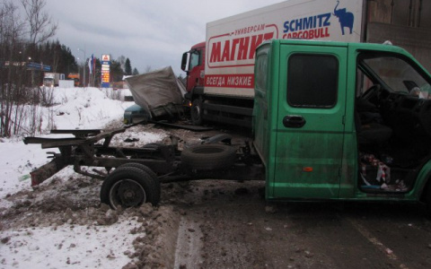 Появилась информация о жертвах ДТП в Коми, где фура «Магнит» протаранила два авто