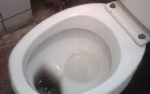 Школьница родила ребёнка и попыталась смыть его в унитаз