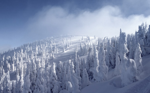 Погода в Сыктывкаре 9 декабря: ожидается резкое похолодание