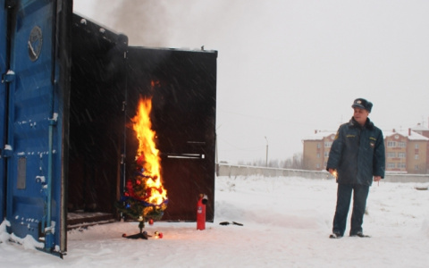 В Сыктывкаре сотрудники МЧС подожгли елку, чтобы показать, как надо ее тушить (фото)