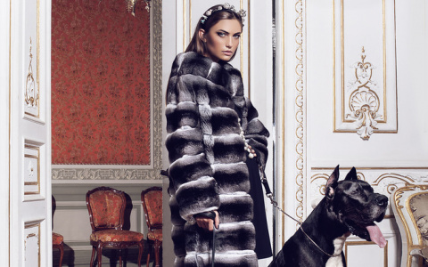 Где в Сыктывкаре можно выгодно обменять старую шубу на новую?