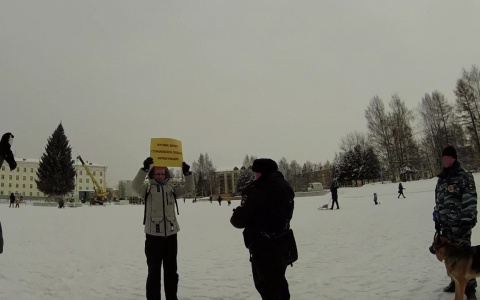 В Сыктывкаре в День Конституции за пикет, который не нарушает Конституцию, забрали активистку