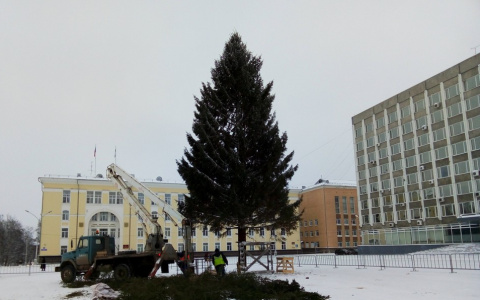 Стало известно, когда откроется елка на Стефановской площади в Сыктывкаре