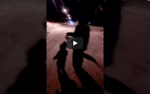 В Сыктывкаре женщина выгуливала своего маленького сына на поводке (видео)