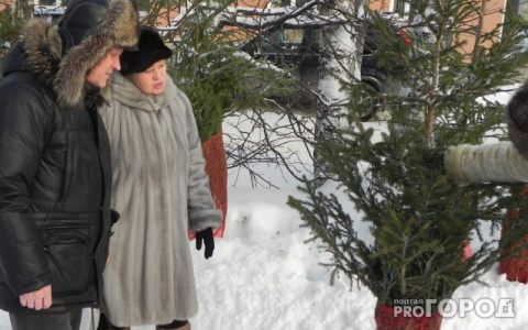 Названы адреса елочных базаров в Сыктывкаре: список