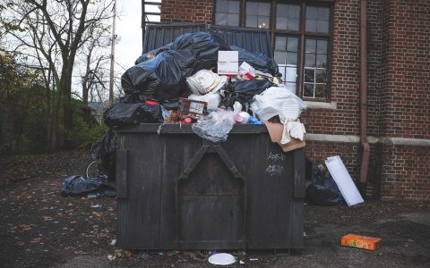 В Коми в мусорных контейнерах нашли части тела расчлененной женщины