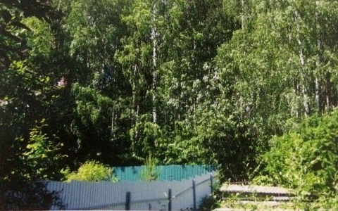 Мэрия Сыктывкара не смогла отстоять в суде право горожан на березовую рощу в местечке Париж