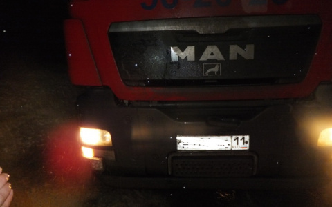 На трассе в Коми большегруз насмерть сбил мужчину (фото)