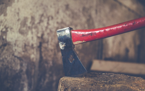 В Коми три парня набросились с топором на свою возлюбленную