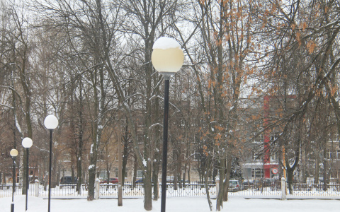 Погода в Сыктывкаре 19 декабря: устойчивый минус