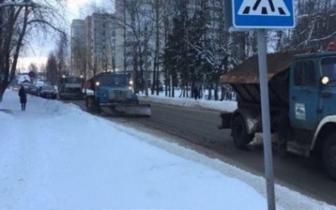 Глава Коми Сергей Гапликов рассказал, сколько снега убрали в республике