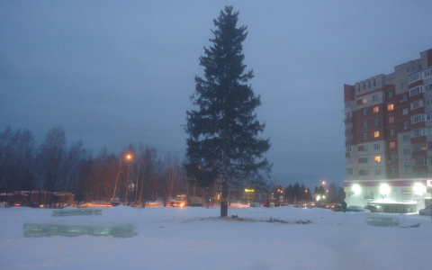 В Сыктывкаре новогоднюю ёлку впервые установили на Покровском бульваре (фото)