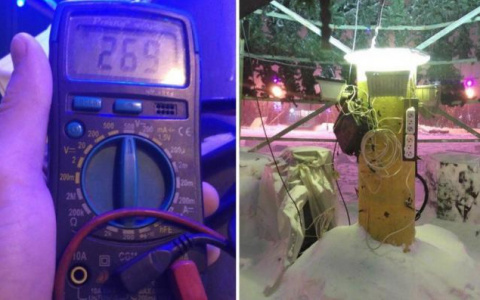 В одном из городов Коми елка угрожает жизням местных жителей