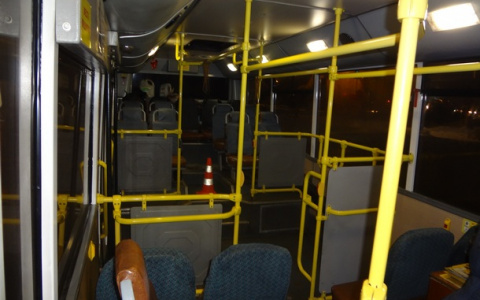 В Сыктывкаре из-за водителя автобуса женщина едва не стала инвалидом