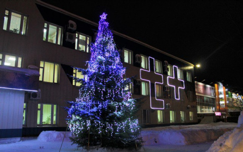 Мэрия Сыктывкара показала лучшие новогодние елки города