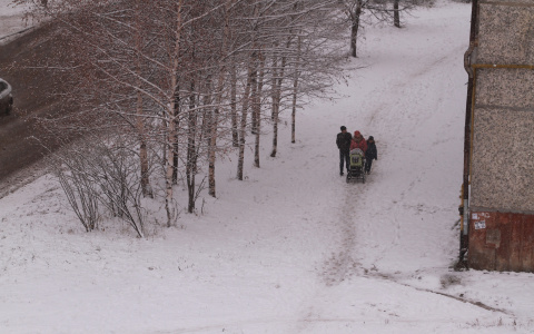 Погода в Сыктывкаре 21 декабря: на пару градусов теплее, чем вчера