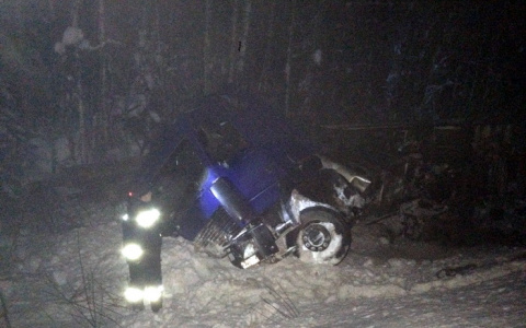 На трассе в Коми в кювет рухнул груженый лесовоз