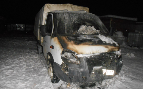 В Коми у службы защиты животных дотла сгорела жизненно необходимая «Газель» (фото)