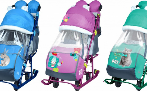 Стало известно имя победителя в розыгрыше саней-коляски