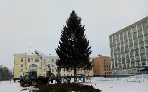 Открытие елки на Стефановской площади в Сыктывкаре перенесли