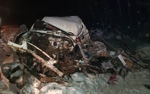 В Коми произошло страшное ДТП с участием фуры: 6 жертв (фото)