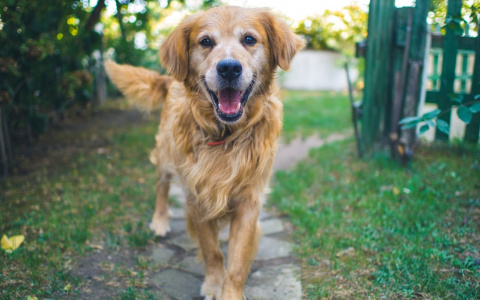 Астрологи рассказали, каким будет 2018 год