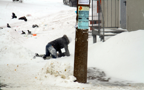 Жители Коми «наехали» на Гапликова за неубранный снег