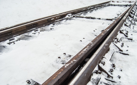 Республика Коми пустит с молотка свою долю «Белкомура»