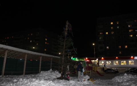 В Сыктывкаре жители Орбиты самостоятельно установили новогоднюю ёлку на спорном участке