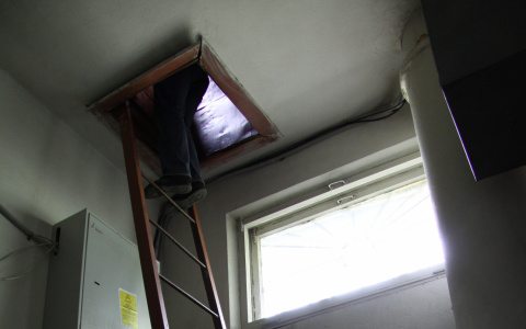 Жительница Коми подняла на уши полицию из-за мистических звуков на чердаке