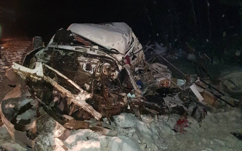 Стало известно о состоянии детей, которые пострадали в смертельном ДТП на «Вятке»