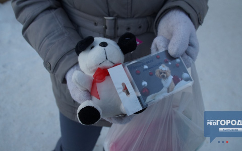 Девочке из Сыктывкара мерзкий приз, который она выиграла в лотерее на новогодней елке, заменили (фото)