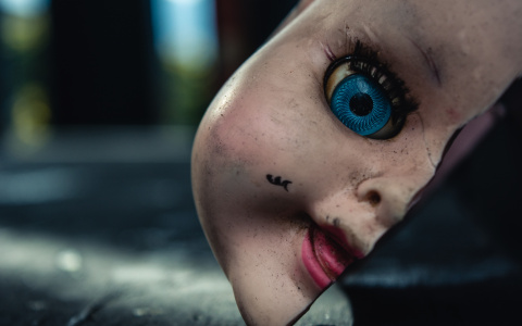 В Коми женщина пострадала из-за простого желания купить куклу