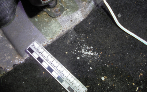 В Сыктывкаре поймали наркодилера с крупной партией «синтетики» (фото)