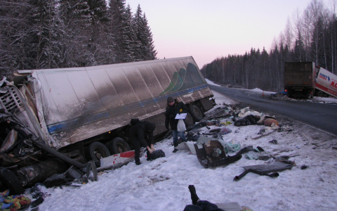 Топ-12 читаемых новостей 2017 года: самые шокирующие и смешные статьи