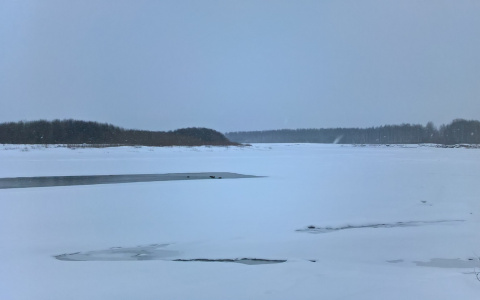 Возле Кировского парка Сыктывкара плавают дикие утки (фото)
