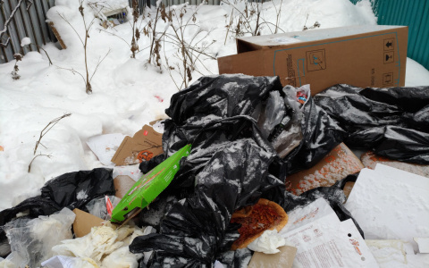 Известная сыктывкарская пиццерия устроила новогодний пир для крыс в центре города