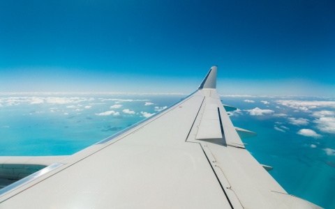 Сыктывкарцы рассказали, где будут проводить свои новогодние каникулы